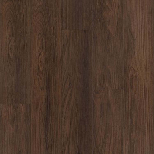 FALCON CREEK PLUS in Burnt Umber