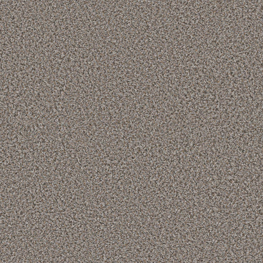 ALDER WAY in Fossil Carpet