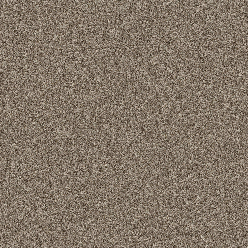 AKINS WAY in Almond Carpet