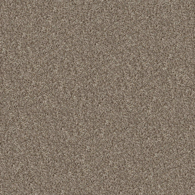 AKINS WAY in Almond Carpet