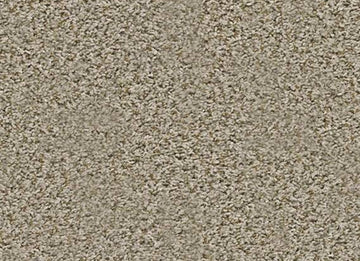 Flax