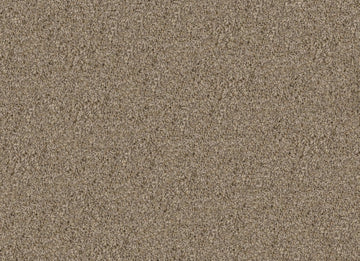 Blond Wood