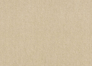 Silk Thread