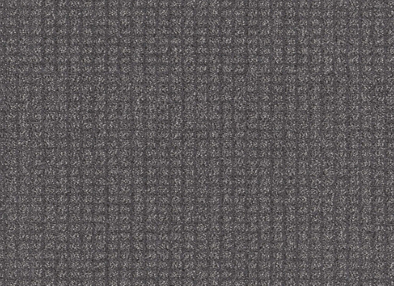 BONIE BRAE in Shipwreck Carpet