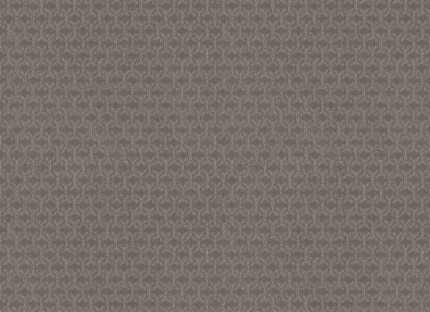 BRONSON WAY in Iced Mocha Carpet