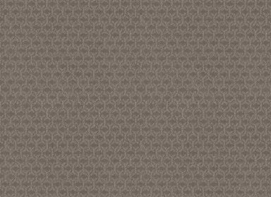 BRONSON WAY in Iced Mocha Carpet