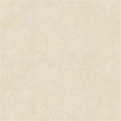 Stuc in Beige Texture 12x24 Tile