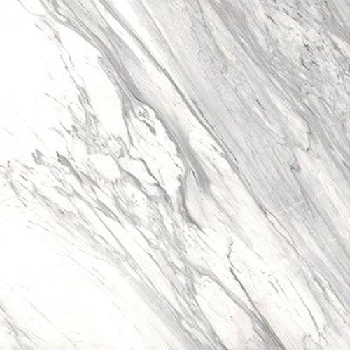 Soul in White Polished 12x24 Tile