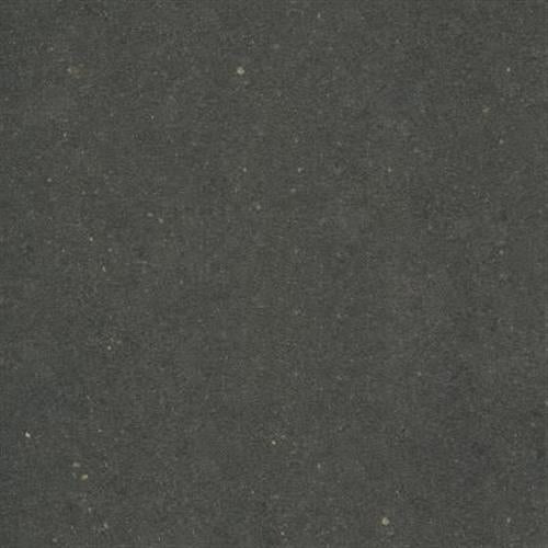 Avenue in Black Nature 24x24 Tile