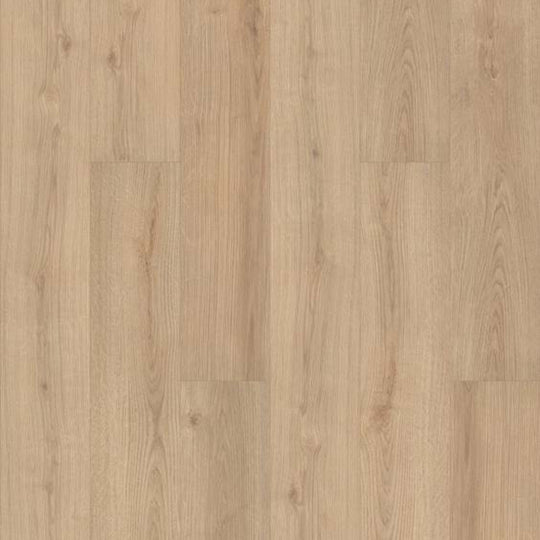 DILLON CREEK PLUS in Blaze