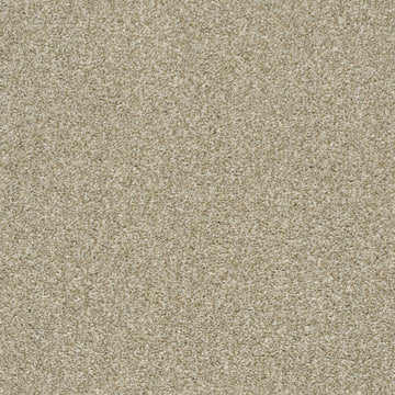 Flax Seed