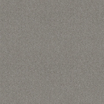 Steel