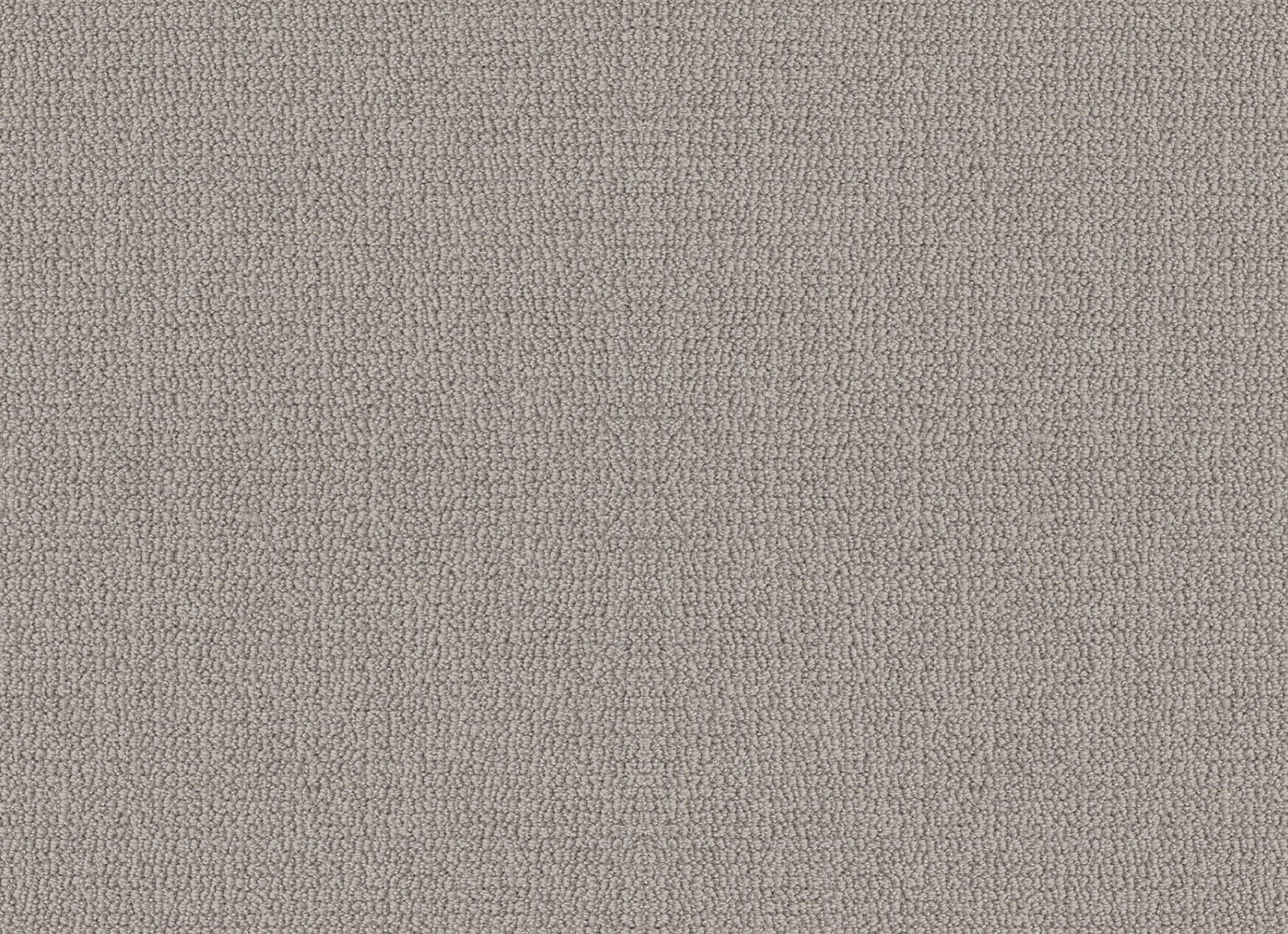CHESTNUT SPRINGS in Ashen Carpet