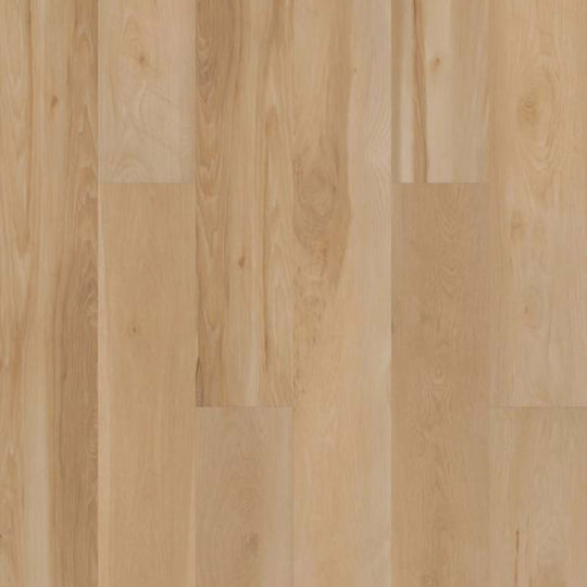 CHESWICK in Blended Praline