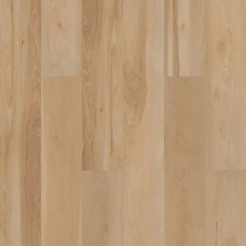 CHESWICK in Blended Praline