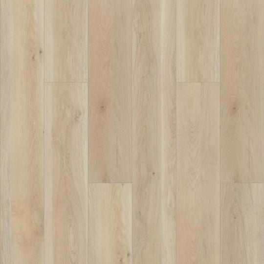 KIPLING HD NATURAL BEVEL in Cambridge