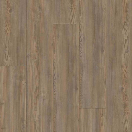 COOLIDGE COUNTRY in Sheff Pine