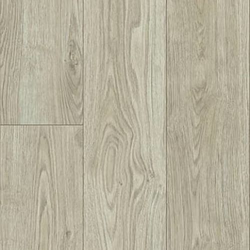 GRAFTON PLUS in Dawn