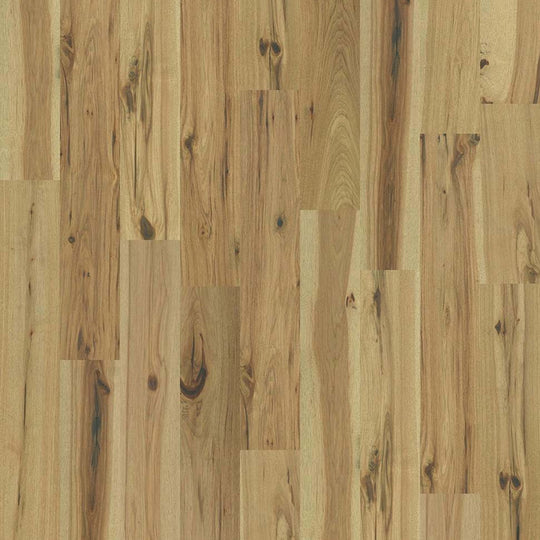 EASTLAKE HICKORY in Luminous