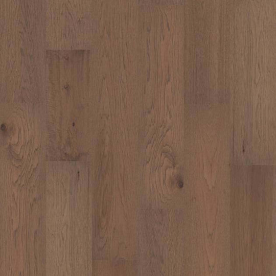 GERMANTOWN in Denali