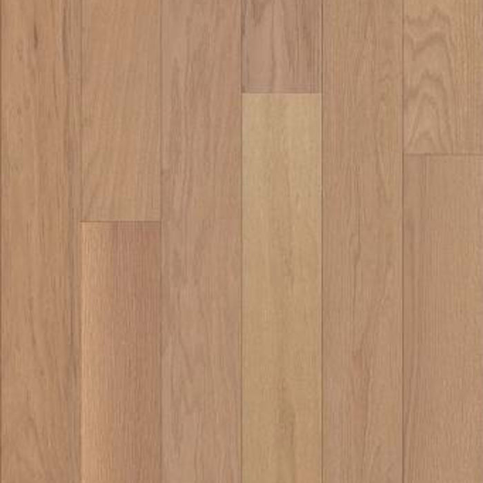 FORREST HEIGHTS in Travertine Hardwood