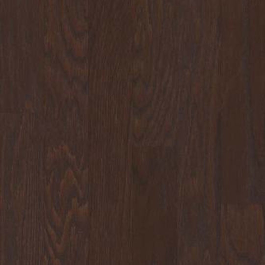 BARBARO II 3.25 in Coffee Bean