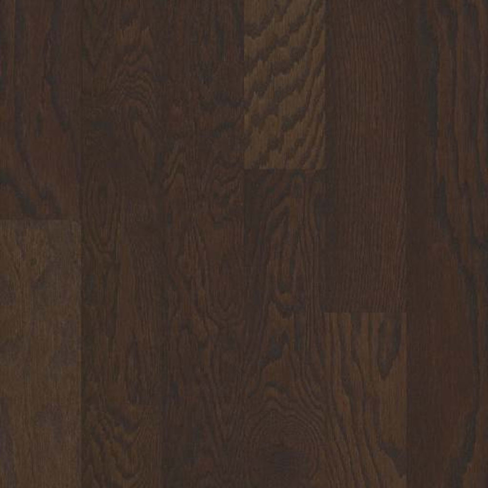 BARBARO II 5 in Chocolate Hardwood