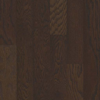 BARBARO II 5 in Chocolate Hardwood