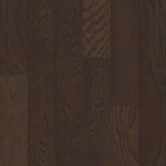 BARBARO II 5 in Chocolate