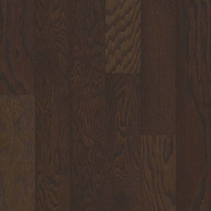 BARBARO II 5 in Chocolate Hardwood