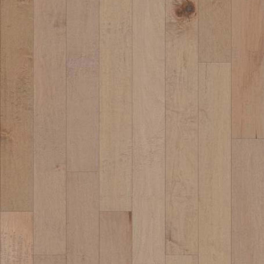 ECLIPSE MAPLE 2 in Canvas Lg