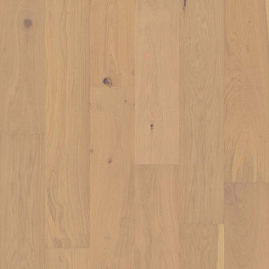 DECKER OAK in Champagne Hardwood