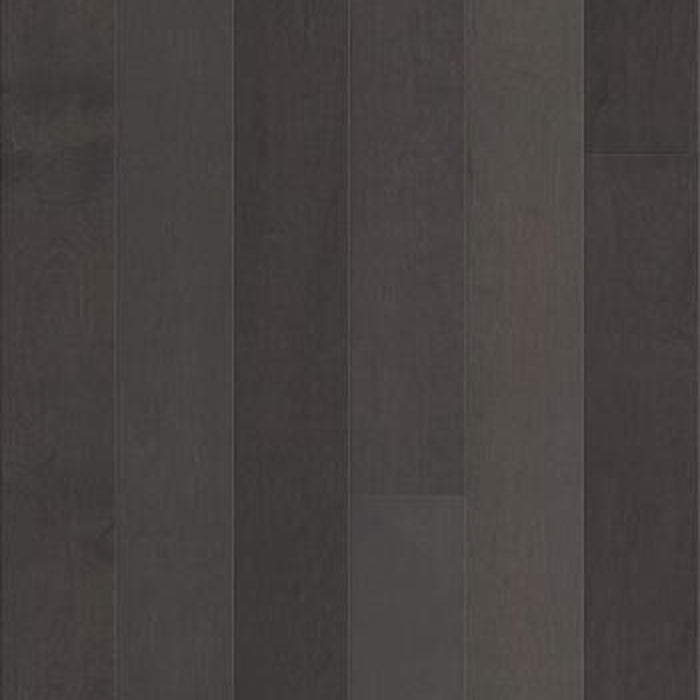 DOVER MAPLE in Contemporary Hardwood