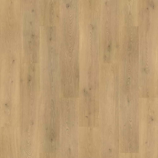 Hampton Lake in Tulip Shell Oak