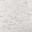 Calacatta in Calacatta Gold Honed 2x8 Natural Stone