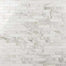 Calacatta in Calacatta Gold Polished 2x8 Natural Stone