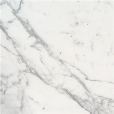 Calacatta Marble in Calacatta Marble - 3x6 Natural Stone