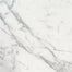 Calacatta Marble in Calacatta Marble - 3x6 Natural Stone
