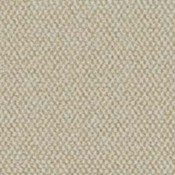 Desert Sand