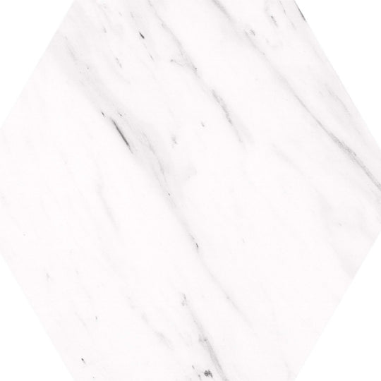 Carrara Hex in Carrara