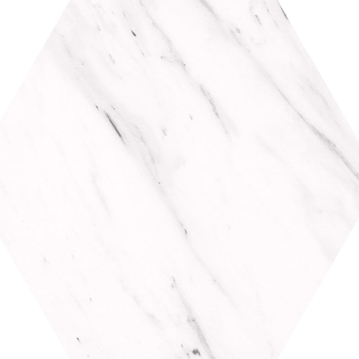 Carrara Hex in Carrara  Tile
