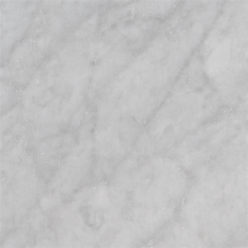 Carrara White in Carrara White - 24x24