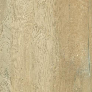 AEQUA in Silva Tile