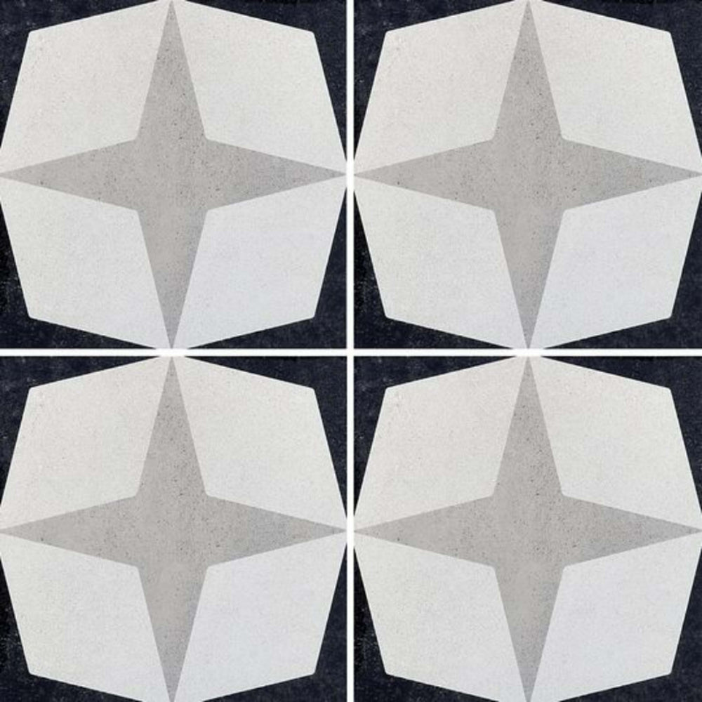 Cementine Black and White in B&W 1 Tile