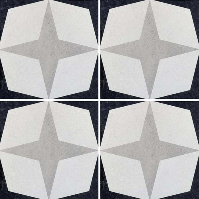 Cementine Black and White in B&W 1 Tile