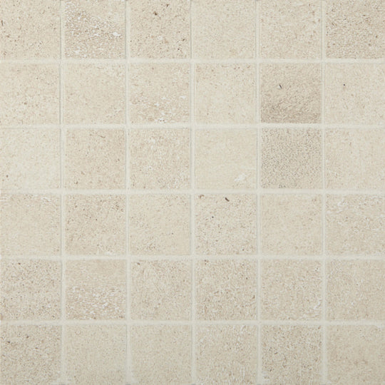 Cemento Rasato in Beige Mosaic