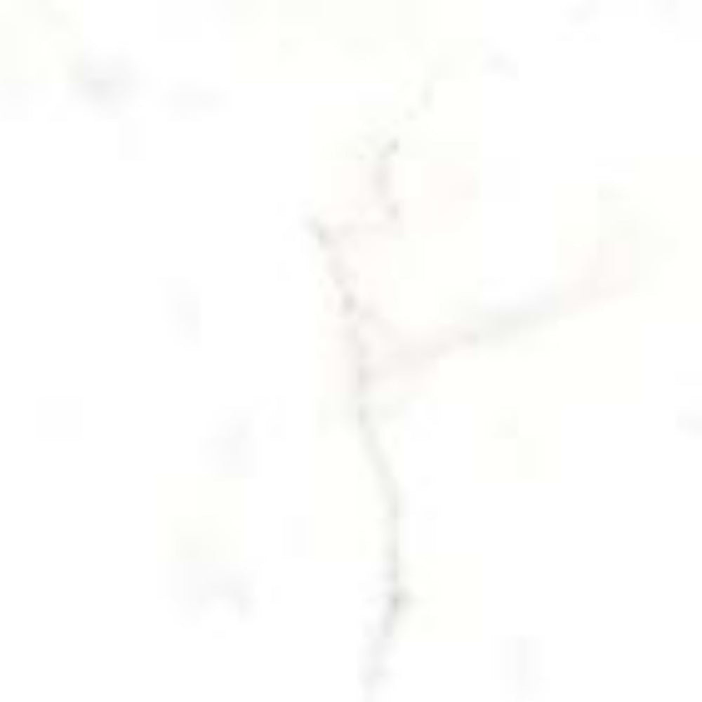 Classic in Calacatta-12x24 Tile