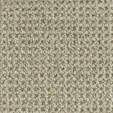 Colony in Pewter Carpet