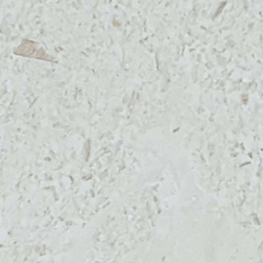 Sand Key in Shell Stone 4x8 Natural Stone