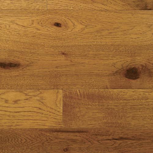 Character Collection in Hickory Saddle - Solid 4